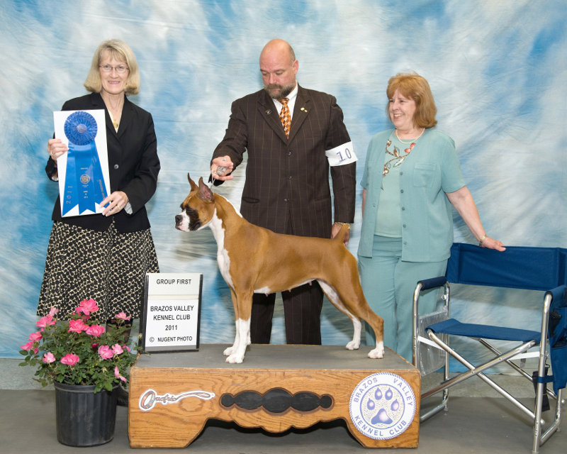 Sunday's Working Group Winner